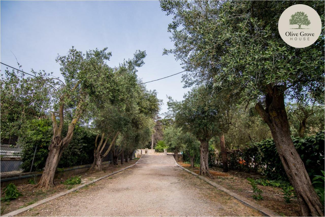 Vila Olive Grove House Argostoli  Exteriér fotografie